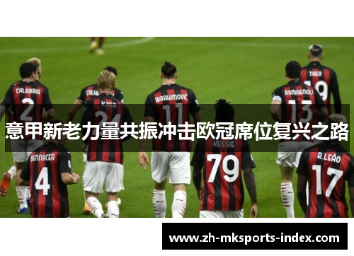 意甲新老力量共振冲击欧冠席位复兴之路 意甲新老力量共振冲击欧冠席位复兴之路